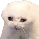 E_ E_
