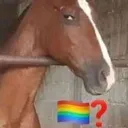sushorse