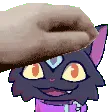 pet_lenny pet_lenny