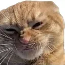 Theheck