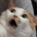 shocked