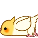 birbcrawl