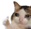 ThumbsUp_CryingCat