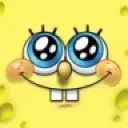 sponge