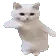 CatTime