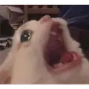 300_shock