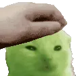 Pet