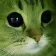 meow
