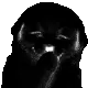 FakeNitroEmoji
