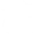 Icon_1_Cat