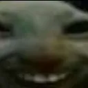 xdd xdd