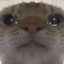 sadpoyo