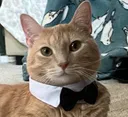philipformal