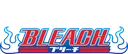 bleach2