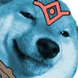 dogo