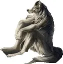 alphawolf