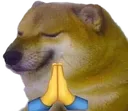 S2Praydodge