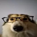 S2nerddog