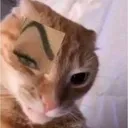 uhuh_eyebrow