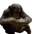 Monke