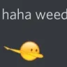 hahaweed hahaweed