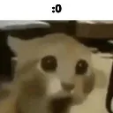 emoji_18