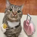 er