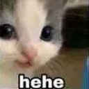 CattoHehe