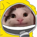 LDJ