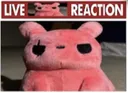 livehunterreaction livehunterreaction