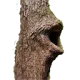 LOGGERS LOGGERS