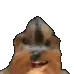 bbOOOO