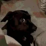 side_eye