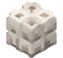 XrEubls8XvNN1anG
