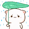 nya_rain