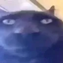 emoji_25