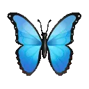 k_butterfly