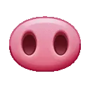 k_pignose
