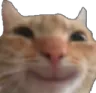 Catsmile Catsmile Discord Emoji