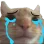 car_sad_sob_cri_crying