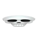 wideSkull