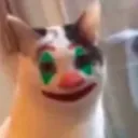 catclown