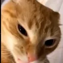 emoji_92