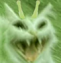 aaaa