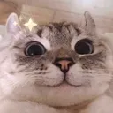 catsmile