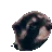 Pedro Pedro