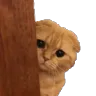 lurk