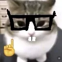 cat_nerd