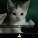 ok_bbg