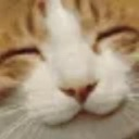 lbc_KittyHappy custom emote - Pee House